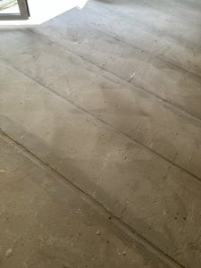 IMG_7781.JPG