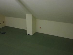378.jpg