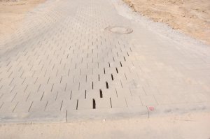 DSC_0178.jpg