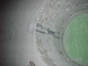 PICT0786B.jpg