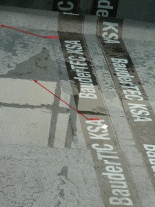 P1020198.jpg
