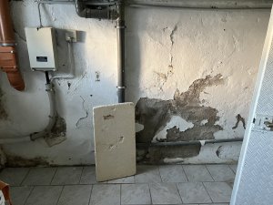 IMG_8483.jpeg