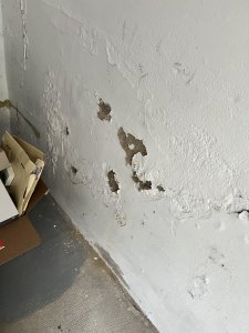 IMG_8485.jpeg