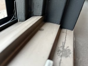 IMG_0713.jpeg