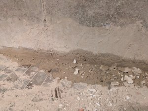 PXL_20250627_063654583.jpg
