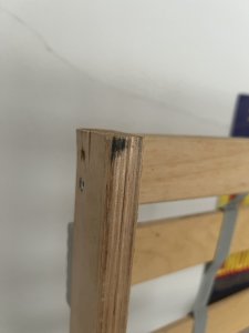 IMG_1469.jpeg