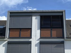 IMG_6338.jpeg