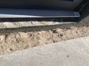 IMG_5937.jpeg