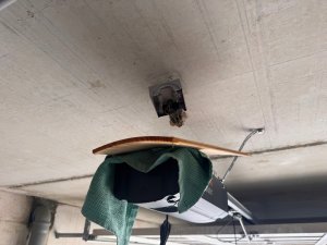 IMG_3105.jpeg