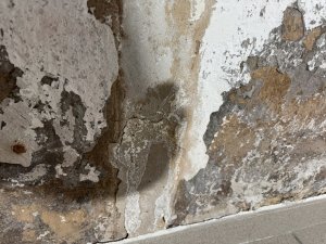 IMG_1067.jpeg