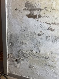 IMG_1071.jpeg