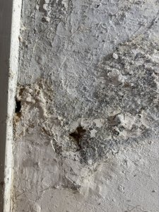 IMG_1072.jpeg