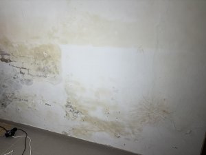 IMG_1073.jpeg