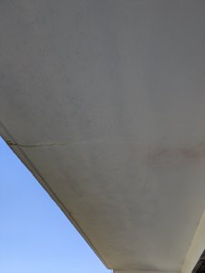 PXL_20250701_153827264.jpg