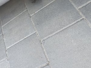 IMG_20250701_175449.jpg