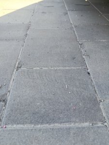IMG_20250701_175424.jpg