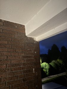 2.jpeg
