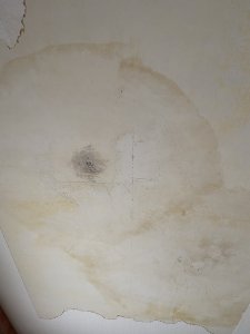 IMG_8003.jpeg