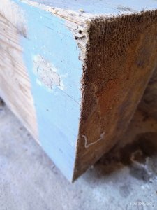 IMG_20250704_120111876_AE.jpg