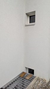 1000092195.jpg