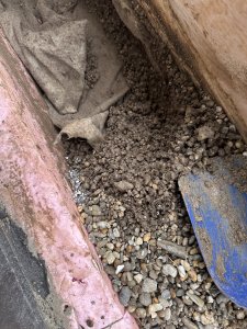 IMG_8324.jpeg