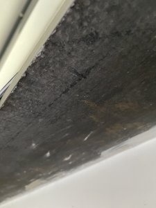 IMG_7031.jpeg