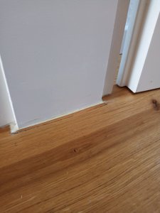 IMG_2698.jpeg