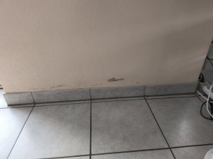 IMG_20250711_114147.jpg