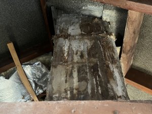 IMG_7900.jpeg