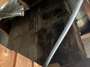 IMG_7902.jpeg