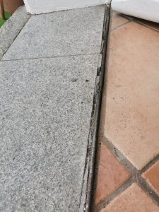 IMG_20250610_081658.jpg