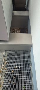 20250713_Lichtschacht_mit_Sockel_Wärmepumpe.jpg