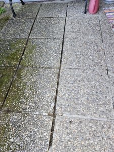 20250713_140743.jpg