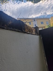 20250713_163651.jpg