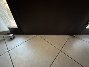 IMG_0967.jpg