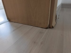 IMG_20250715_122633.jpg