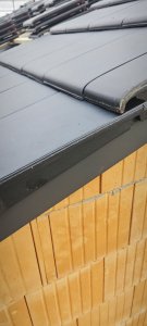 IMG_20241022_164508.jpg