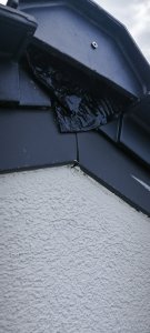 IMG_20250704_095231.jpg
