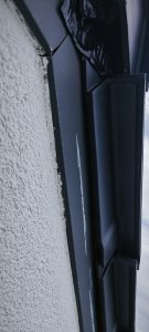 IMG_20250704_095233.jpg