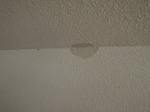 IMG_2286.jpeg