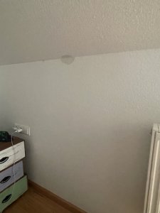 IMG_2285.jpeg