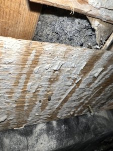IMG_8712.jpeg