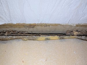 PXL_20250717_153713443.jpg