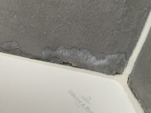 IMG_2805.jpeg