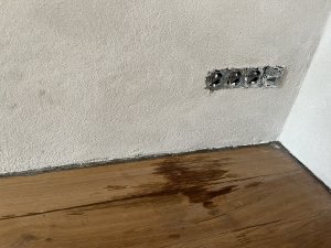 IMG_8328.jpeg