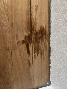 IMG_8327.jpeg
