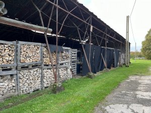 IMG_4035.jpeg