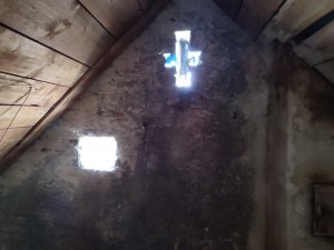 IMG_20250719_133352.jpg