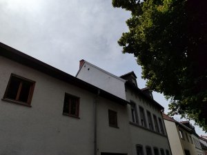 IMG_20250719_145737.jpg