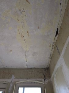 1000052666 (1).jpg